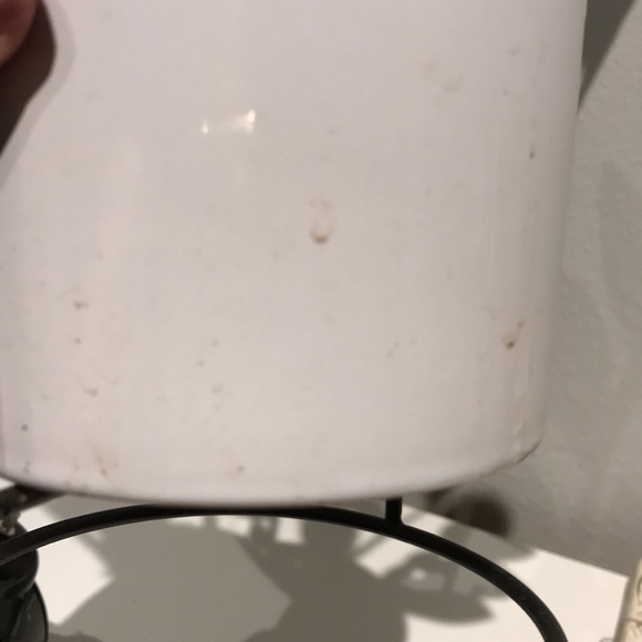 Faux Plant Artificial ZZ Plant Faux Greens NEW Perfect Size FINAL SALE - Picture 7 of 8